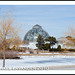 Michael Whitcomb Photo 37