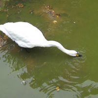 Jane Himmel Photo 13
