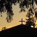 Regina Cross Photo 12
