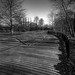 Vernon Winters Photo 7
