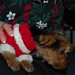 Holly Willey Photo 11