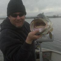 Scott Marine Photo 16