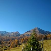 Sebastiano Bruno Photo 6