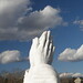 Will Albrecht Photo 17