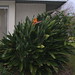 Lorraine Bush Photo 15
