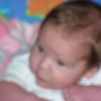 Faye Newton Photo 5