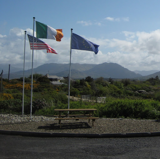 Teresa Dwyer Photo 31