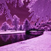 Julia Bridge Photo 10