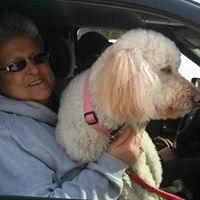 Linda Howe Photo 33