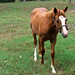 Katie Crain Photo 23