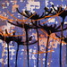 Catherine Green Photo 49
