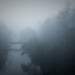 Kelvin Ross Photo 15