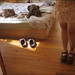 Jane Tanner Photo 39