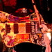 Pamela Roach Photo 16