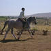 Stephanie Sharp Photo 24