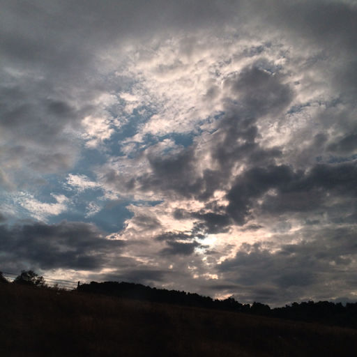 Anna Witt Photo 34