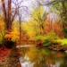 Crystal Clough Photo 19