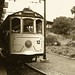 Teresa Bonds Photo 12