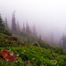 Christina Meadows Photo 10