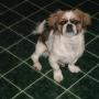 Lisa Stilwell Photo 17