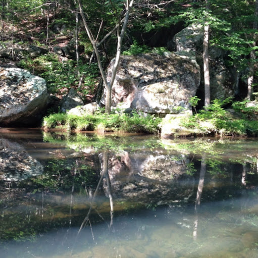 Susan Crandall Photo 16