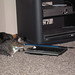 Tabby Hughes Photo 6