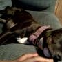 Joycelyn James Photo 9