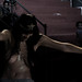 Patricia Roderick Photo 9