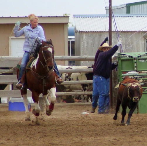 Christine Hammond Photo 40