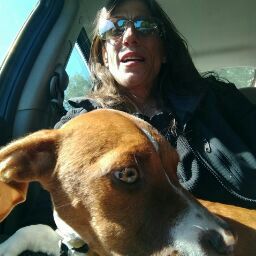 Debbie Pringle Photo 7