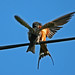 Duane Clark Photo 35