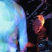 John Spitz Photo 12