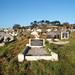 Dan Turley Photo 12