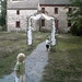 Donna Ramsey Photo 13