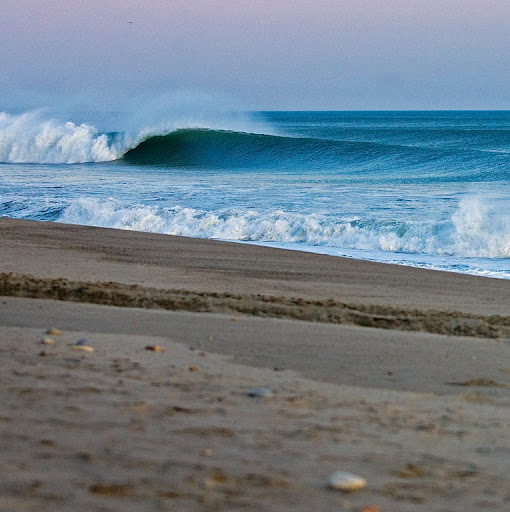 Randall Pollock Photo 9