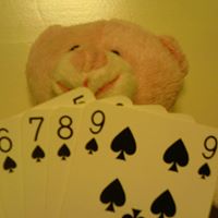 Ben Tyler Photo 13