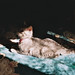 Elizabeth Juneau Photo 9
