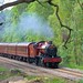 Harry Sutton Photo 24