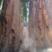 Michelle Samuels Photo 22