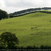 Anna Galloway Photo 15