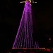 Lesley Robinson Photo 16