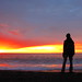 Dawn Hawkes Photo 5