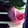 Theresa Graziano Photo 11