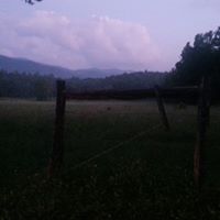 Virginia Strickland Photo 9