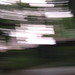 Deborah Lorenzo Photo 6