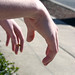 Aaron Hand Photo 22