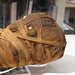 Angela Dodd Photo 33