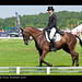 Mark Todd Photo 22