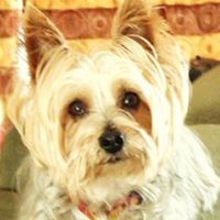 Jeanette Clark Photo 15
