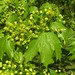 Heidi Spitz Photo 6